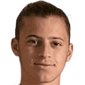 Diego Tarzia